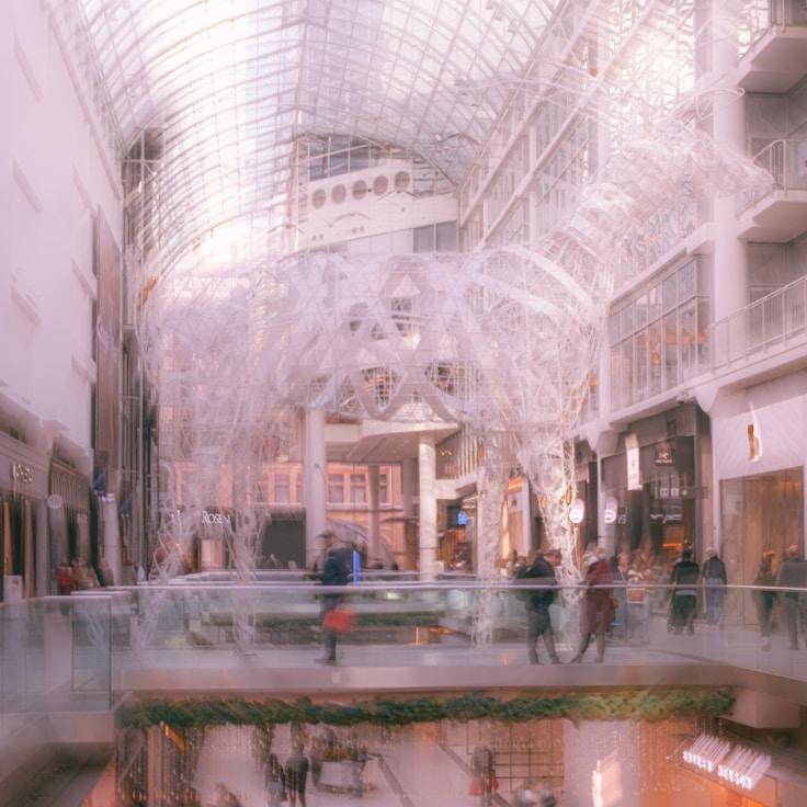 Dining out as an expat family in Germany